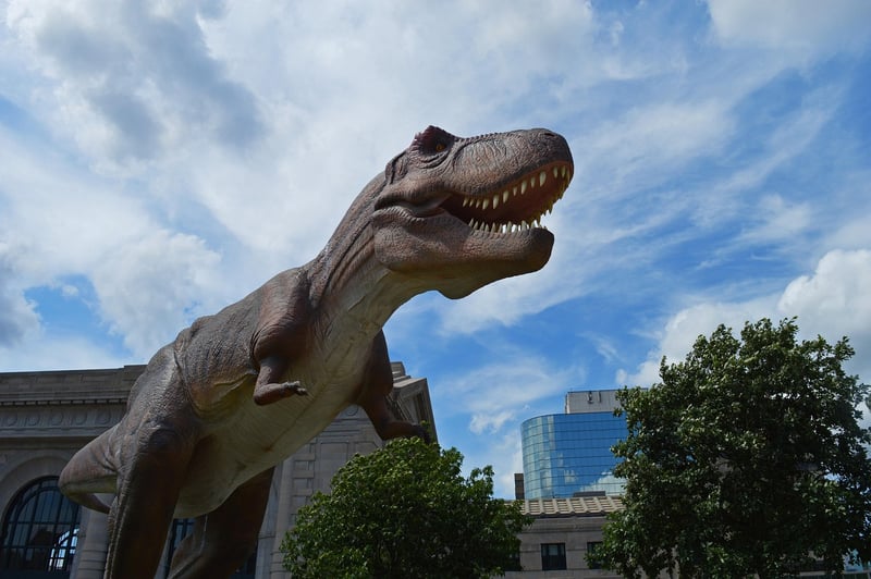 Dinosaur Image