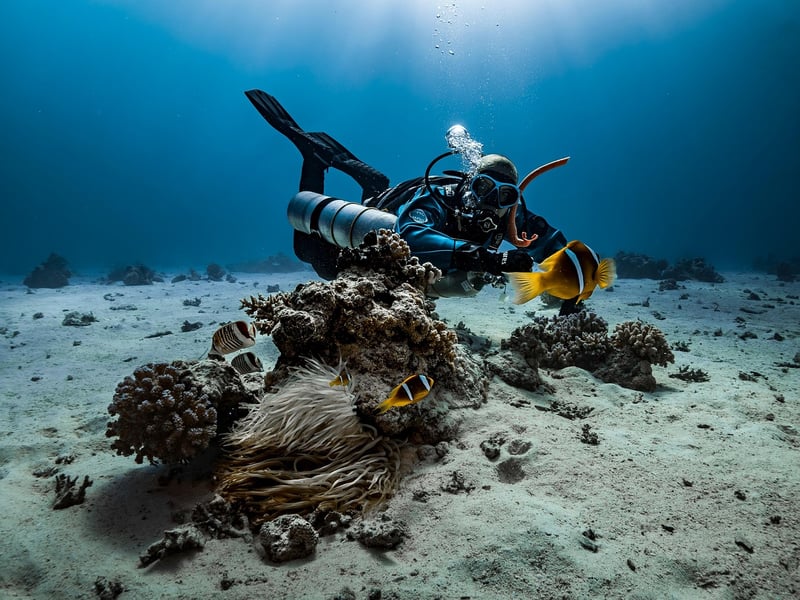 Scuba Diving in Australia